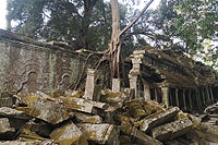 Ta Prohm Tempel